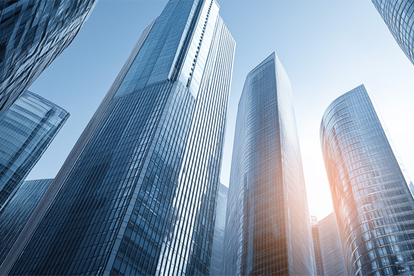 Avangard IPO Advisory